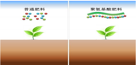 微信图片_20200915150745.png